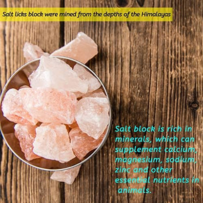 kathson Small Animal Himalayan Salt Lick Block Rabbit Salt Blocks Natural Mineral Salts Chew Treat Supplies for Bunny Hamsters Chinchilla Squirrels Guinea Pig Ferret (6 PCS)