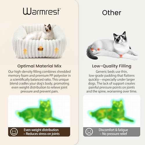 Cute Dog Bed for Small Dogs & Cats,Washable Fluffy Cat Beds for Indoor Cats, Rectangle Orthopedic Memory Foam Puppy Beds with Anti-Slip Bottom, 20 x19 x 6 Inches, Cream (20x19x6 inches)