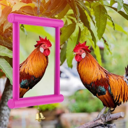 Sadnyy Extra Large Chicken Mirror Toy for Coop Square Double Side Mirror