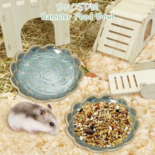 BNOSDM Shallow Ceramic Hamster Food Dish 2 Pcs Small Animals Food Bowl Sunflower Feeding Dishes for Gerbils Mice Rats 4.5in (Dark Green)