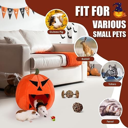 Guinea Pig Hideout - Guinea Pig Bed, Halloween Style Small Pet Hides, Ideal Bed for Small Pets, Pumpkin Shape, Orange