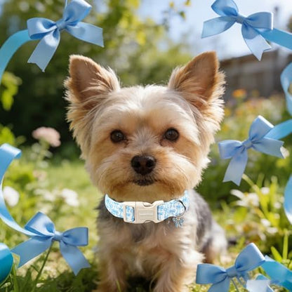 Lionet Paws Summer Dog Collar- Cute Blue Bow Dogs Collar with Plastic Buckle and Bowtie Pendant,Dog Collar for Small Medium Dogs Girl