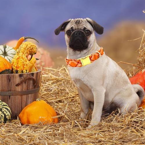 Dog Collars, Fall Dog Collar Orange Plaid Print Pet Collar Durable Metal Collar Cute Girl Boy Dog Collars Adjustable Dog Collar for Large Dogs