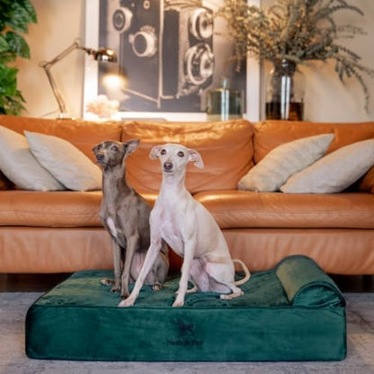 NOAH & PAW Large Dog Bed, 35x25x8.7 Inch, Orthopedic Dog Beds, Eggshell Memory Foam Infused with Cooling Gel, Water Resistant, Machine Washable, Includes Inner Cover (Velvet Collection)