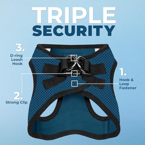 Voyager Step-in Air Dog Vest Harness - Blue/Black Trim, Large