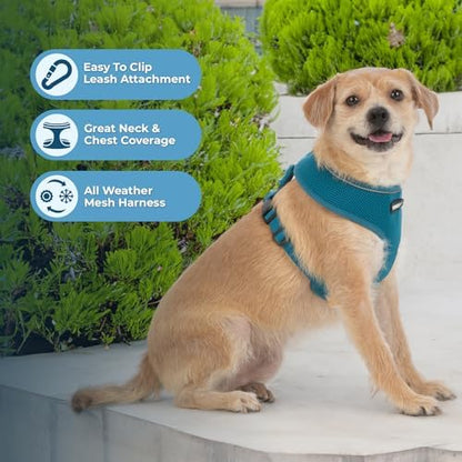 Best Pet Supplies Voyager Aerolite Over the Head Dog Harness, No Pull Breathable Air Mesh Vest, Quick Dry with Reflective Stitching, Adjustable Escape Resistant Harness - Turquoise, Large