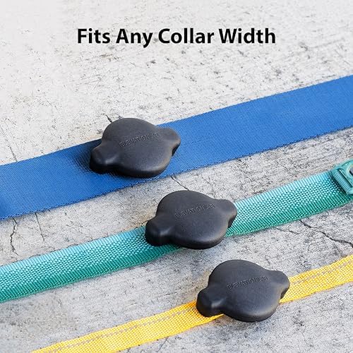 AirTag Dog Collar Holder - Compact - Elevation Lab (4 Pack)