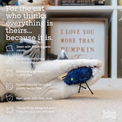 P.L.A.Y. Cute Cat Toys - Feline Frenzy Halloween Themed Catnip Filled Crinkle Toys, Great for Adult Cats & Kittens - Machine Washable, Double Stitched, Recycled Materials (Creepy Critters, Set of 2)