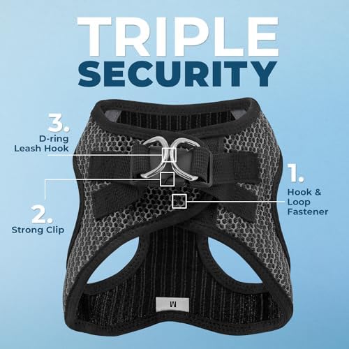 Best Pet Supplies Voyager Step-in Air All Weather Mesh Harness and Reflective Dog 5ft Leash Combo with Neoprene Handle, for Small, Medium and Large Breed Puppies - Gray 2-Tone, Large