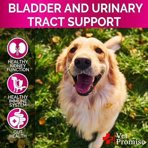 Dog UTI Chews - Cranberry Supplement for Dogs - Urinary Tract Support