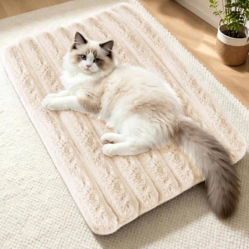 Cat Bed Mat for Indoor Cats, Self Warming Plush Cat Bed, 23.6"x15.7" White