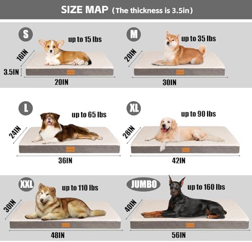 Patas Lague Orthopedic Large Dog Bed Washable Pet Sofa Mat 42''X28'' Ivory
