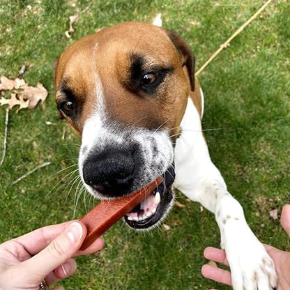 Ark Naturals Protection+ Brushless Toothpaste Chews - Large Breeds (12 ct)
