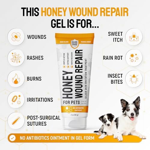 SILVER GRADE Dog Wound Care with Manuka Honey & Colloidal Silver for Scratches & Skin Irritations – Cat & Dog Hot Spot Treatment Gel Works as Honey Rapid Wound Repair for Horses – for All Pets – 2-Oz