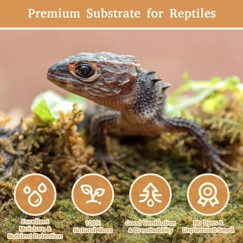 Riare 2.2LB Natural Sphagnum Moss for Reptiles- Terrarium Reptiles Moss