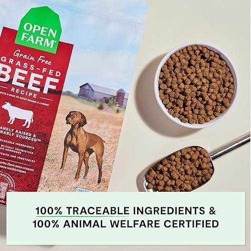 Open Farm Grain Free Dry Dog Food, Grass-Fed Beef Kibble, 4lb Bag