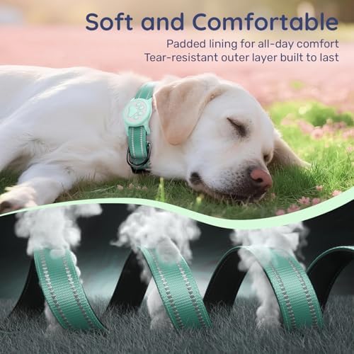 Premium Airtag Dog Collar，with IP68 Waterproof AirTag Holder,Green,M