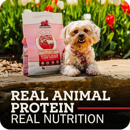 Redbarn Whole Grain Adult Dry Dog Food Kibble - Sky Chicken Recipe - Made in USA Recipe with Functional Ingredients to Support Healthy Heart, Skin, Coat, Immunity & Digestion - 4lb