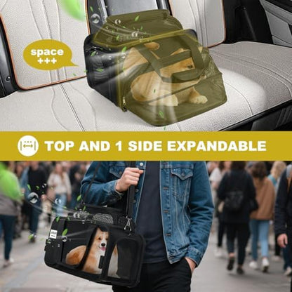 pidipiti 17x11x11 Soft-Sided pet Carrier,for 1 Small Dog or Medium cat