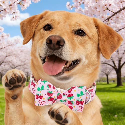 Dog Collars, Spring Red Strawberry Print Cotton Collar Pink Adjustable Light Plastic Buckle Collar with Bow Pet Collar Gift for Large Dogs