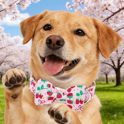 Dog Collars, Spring Red Strawberry Print Cotton Collar Pink Adjustable Light Plastic Buckle Collar with Bow Pet Collar Gift for X-Small Dogs