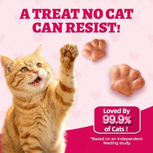 Wellix 29.45 oz Urinary Tract Cat Treats, Cranberry & D-Mannose for UT Aid
