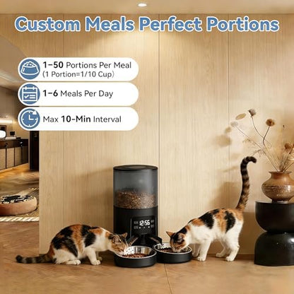 DUMOS 6L Automatic Cat Feeder for 2 Cats, Timed Pet Food Dispenser, Black