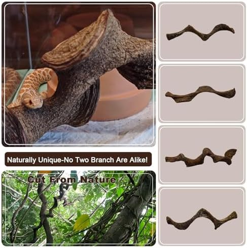BNOSDM 4PCS Natural Reptile Climbing Branches Decor,0.8-1.2" Thick Snake Climbing Forest Wood with Plant Leaf Decor,Lizard Forest Branch,Geckos Tank Tree Trunk Accessories for Bearded Dragons