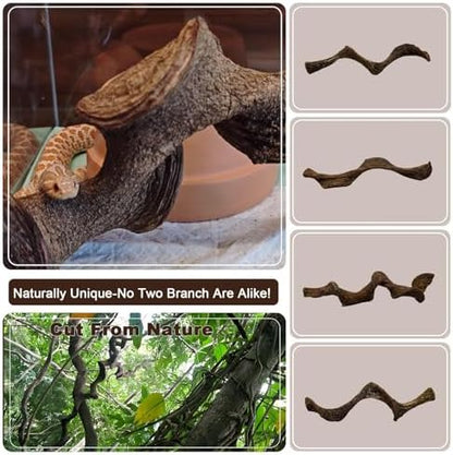 BNOSDM 4PCS Natural Reptile Climbing Branches Decor,0.8-1.2" Thick Snake Climbing Forest Wood with Plant Leaf Decor,Lizard Forest Branch,Geckos Tank Tree Trunk Accessories for Bearded Dragons