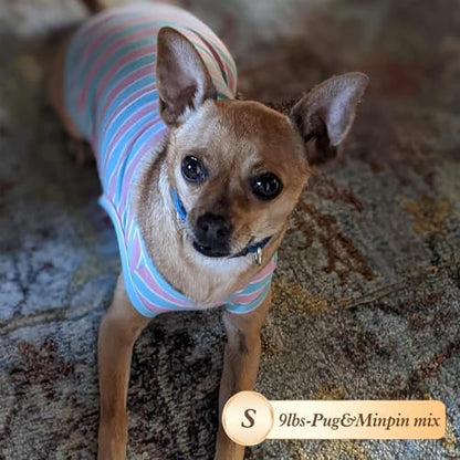 KYEESE 2Pack Cotton Dog Shirt for Small Dogs Soft Striped Tank Top