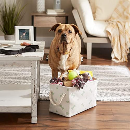 Bone Dry Pet Storage Collection Paw and Bone Print, Small Rectangle, 14x8x9", Mint