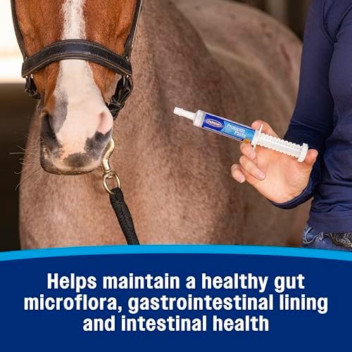 Farnam Probiotic Paste Horses in Syringe Supports Healthy Microbial Balance