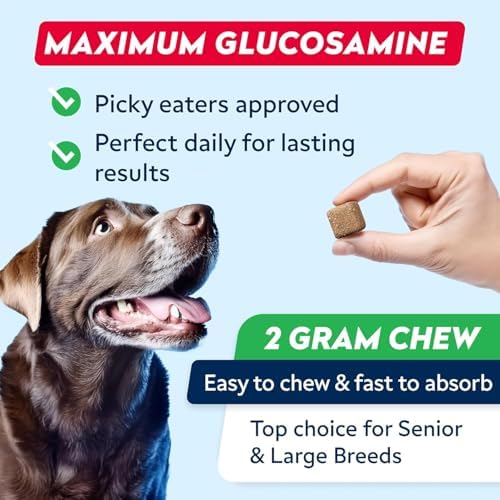 Advanced Glucosamine for Dogs, Collagen&Green Lipped Mussel - Joint Health