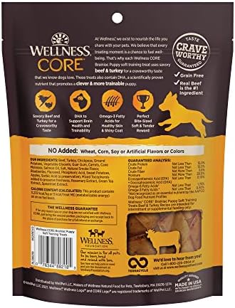 Wellness CORE Brainiac Soft Puppy Training Treats, Natural, Grain Free, Beef and Turkey Recipe, 6 Ounce Bag (Pack of 2)