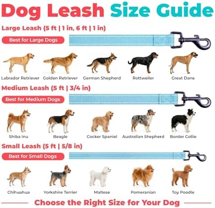 Best Pet Supplies Voyager Nylon Dog Leash - Baby Blue, Small