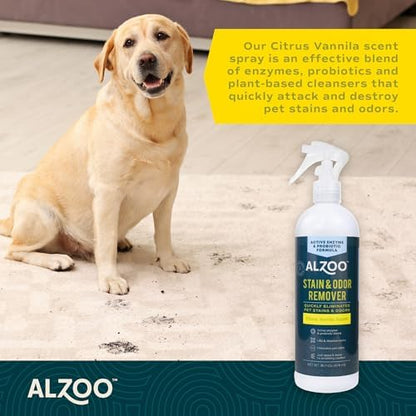 ALZOO Pet Stain & Odor Remover Spray for Dog & Cat Urine, Carpet, Furniture & Floors | Active Enzyme & Probiotic Formula | Citrus Vanilla Scent | Made in USA | 16 oz