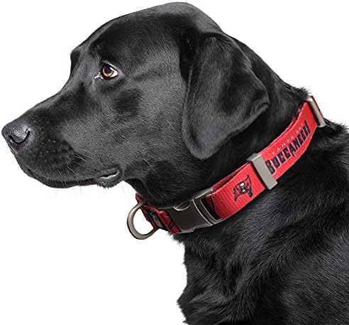 Littlearth NFL Detroit Lions Pet Premium Collar, Team Color, Small