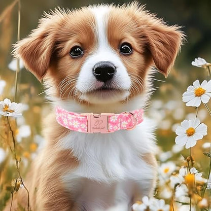 Dainty Daisy Dog Collar, Spring/Summer Pink Floral Girl Dog Collars, Adjustable Heavy Duty Cottagecore Female Dogs Collar for Small Medium Large Dogs with Metal Buckle M