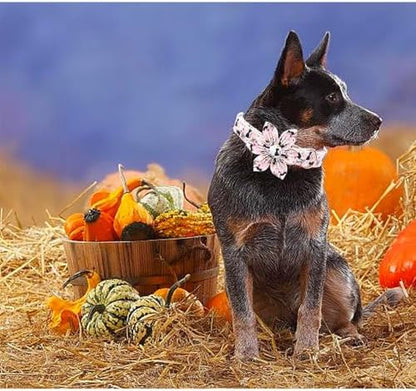 Dog Collar Halloween Fall Cat Ghost Print Pet Collar Soft Cute Dog Collars with Flower Adjustable Metal Buckle Collar for X-Large Dogs