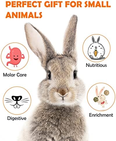Sofier 12Pcs Timothy Hay Treats Rabbit Toys Bunny Toys Guinea Pig Natural Chews for Teeth Handmade Rabbit Chews and Treats Chinchilla Rat Hamster Gerbil
