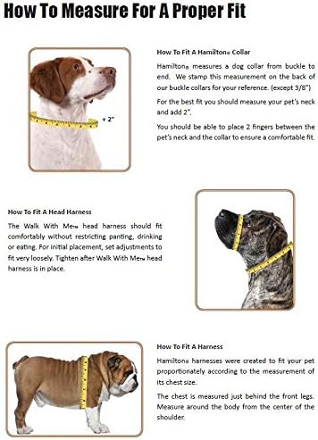 Hamilton Adjustable Nylon Dog Harness, X Small 3/8" x 10-16", Red (2 Pack)