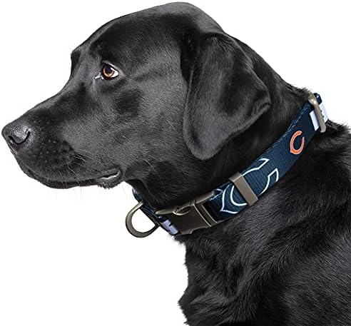 Littlearth NFL Detroit Lions Pet Premium Collar, Team Color, Small