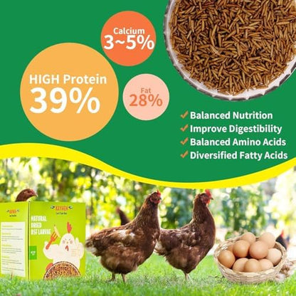 Dried Black Soldier Fly Larvae Treats for Chickens Wild Birds Ducks 10LB
