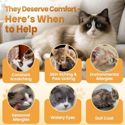 Cat Allergy Relief Chews for Cats with Probiotics, 500 Crunchy Treats