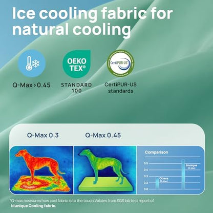 Cooling Dog Bed for Crate, 30 x 20 Inch Orthpedic Cooling Mat for Dogs with Removable Washable Cover, Breathable Egg Crate Foam Anti-Slip Pet Beds, Light Aqua