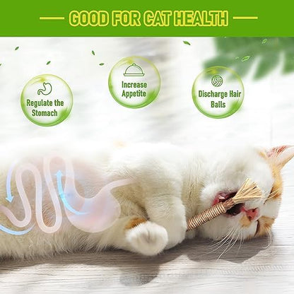 BAWAN Silvervine Sticks Cat Chew Toys for Indoor Cats Dental Care Teeth Cleaning, Natural Kitten & Cat Teething Toys for Health, Cat Chew Stick Suitable for All Breeds of Aggressive Chewers Cat