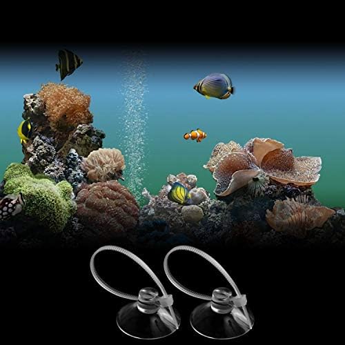 FEBSNOW Aquarium Suction Cups with Ties, Fish Tank Plant Holders