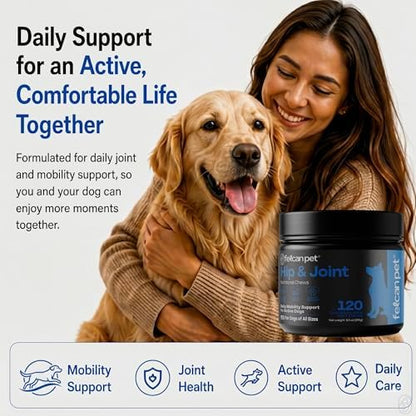 Hip & Joint Chews for Dogs – Glucosamine, Chondroitin, MSM & Green Lipped Mussel – Supports Mobility & Joint Health for Dogs – Natural Dog Joint Supplement – Chicken Flavor, 120 Soft Chews