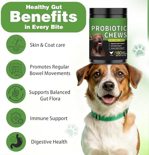 Probiotics for Dogs - 180 Dog Probiotics Chews with 5 Enzymes & 4 Prebiotics for Digestive and Gut Health - Diarrhea & Bowel Support, Yeast Balance, Immunity, Allergies & Itchy Skin (Chicken)