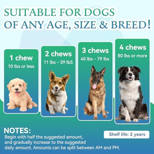 Dog Joint Supplement, Hip and Joint Supplement with Glucosamine Chondroitin